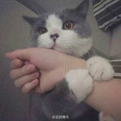 周杰伦新歌从夯到拉排名