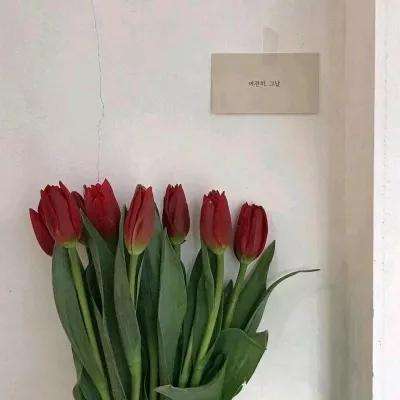 欧洲理事会主席：欧盟需提升战略自主性