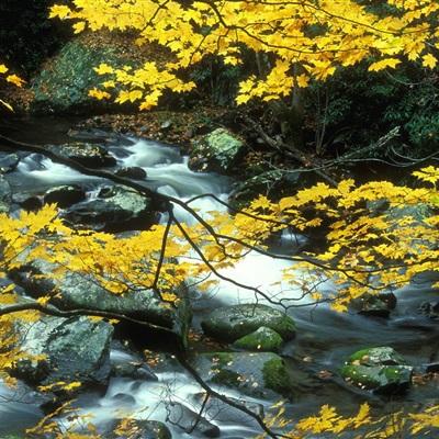 展会预告 | 西克视觉，深度视界...