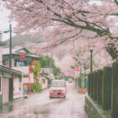 10年来首次，“特朗普将缺席会议”